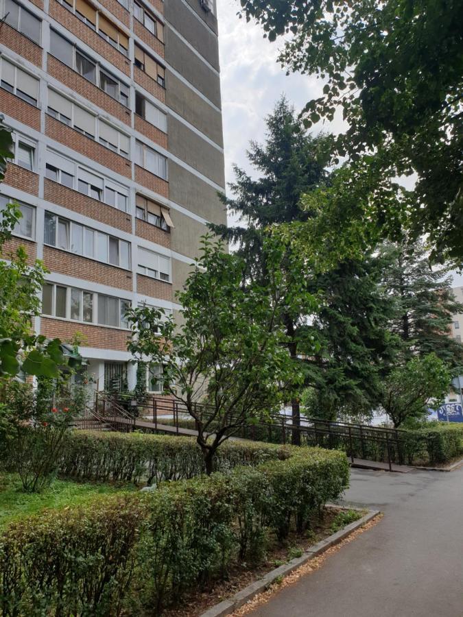 Exclusive Apartment بلغراد المظهر الخارجي الصورة
